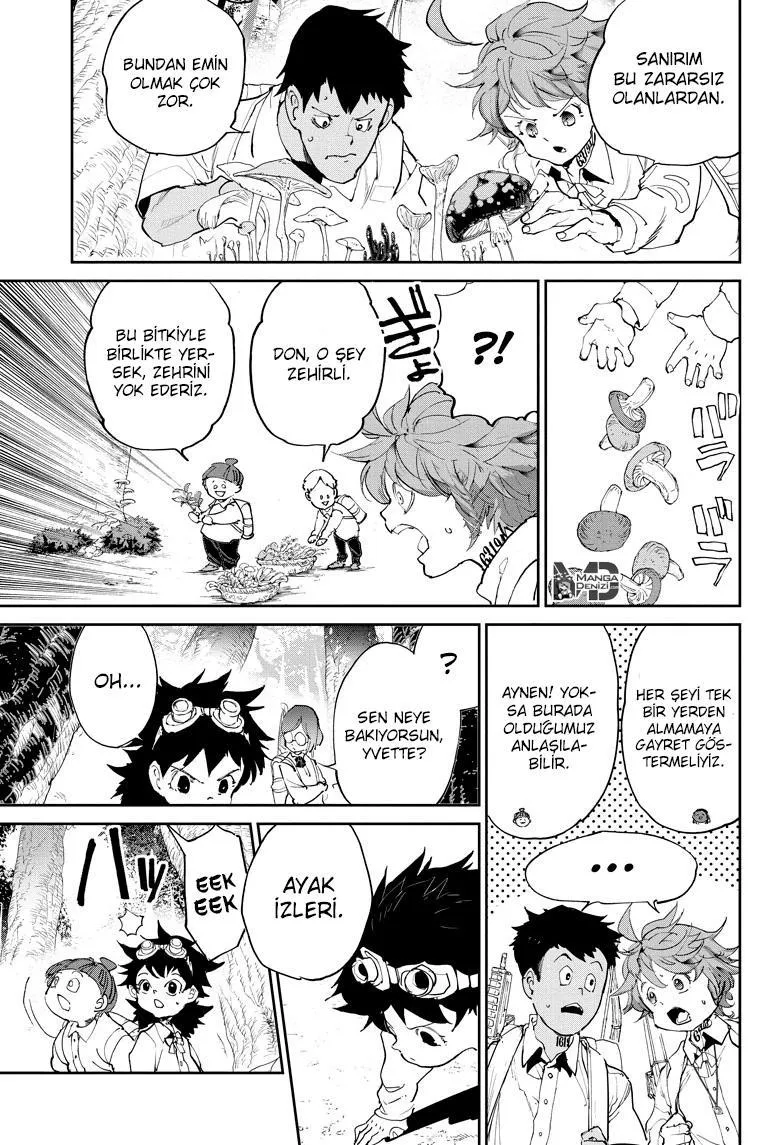 The Promised Neverland - Sayfa 8