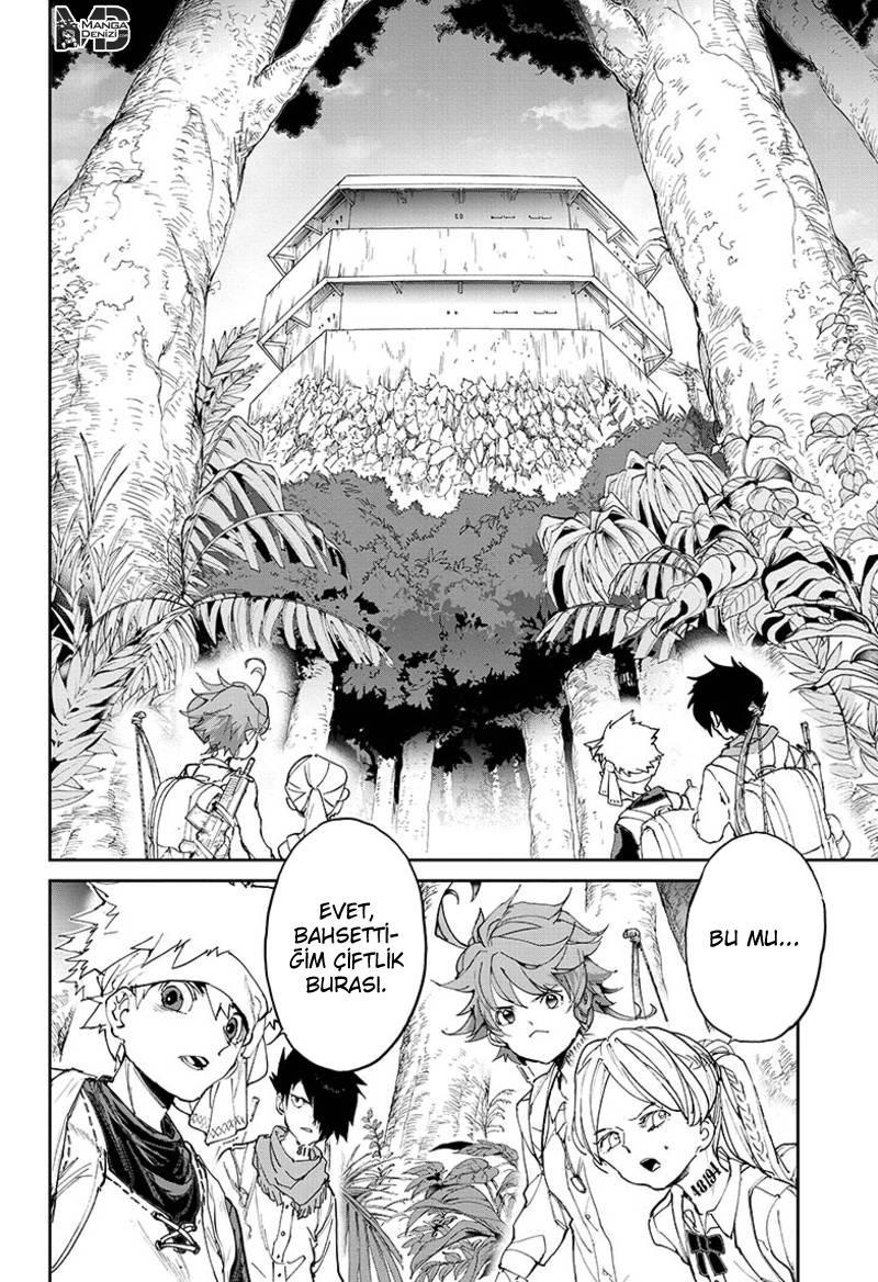 The Promised Neverland mangasının 116 bölümünün 11. sayfasını okuyorsunuz.