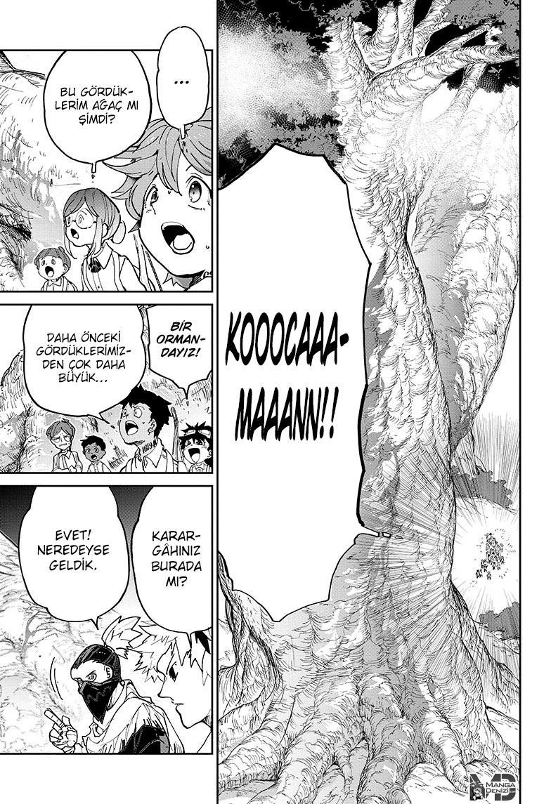 The Promised Neverland mangasının 118 bölümünün 7. sayfasını okuyorsunuz.