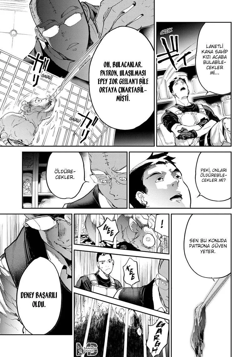 The Promised Neverland - Sayfa 5