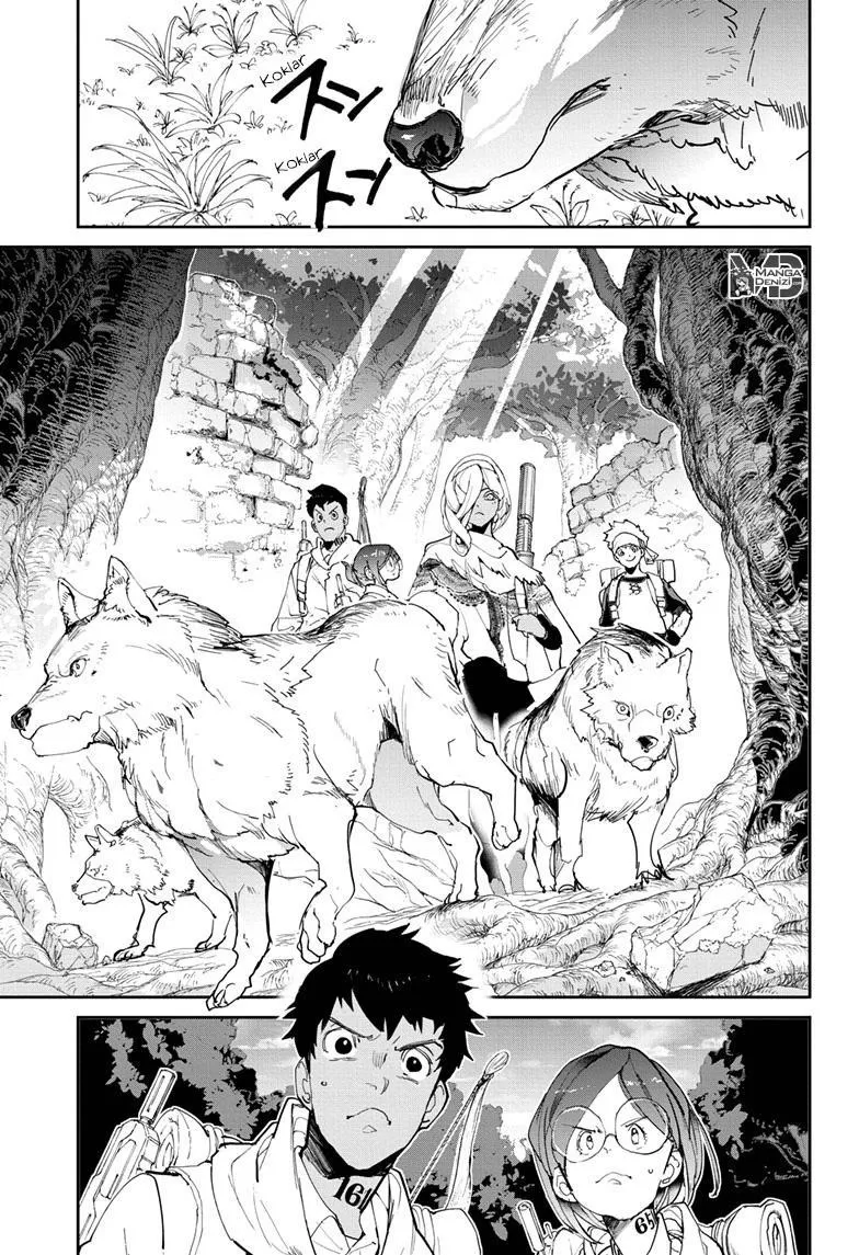The Promised Neverland - Sayfa 7
