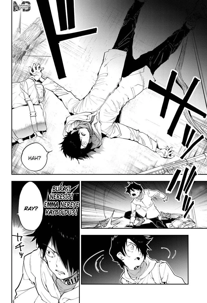 The Promised Neverland - Sayfa 11