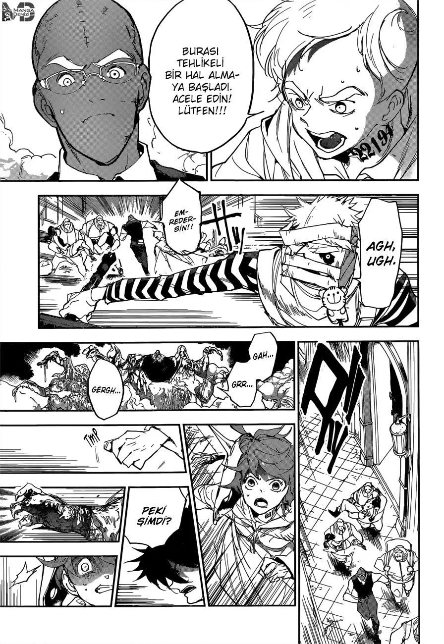 The Promised Neverland - Sayfa 15