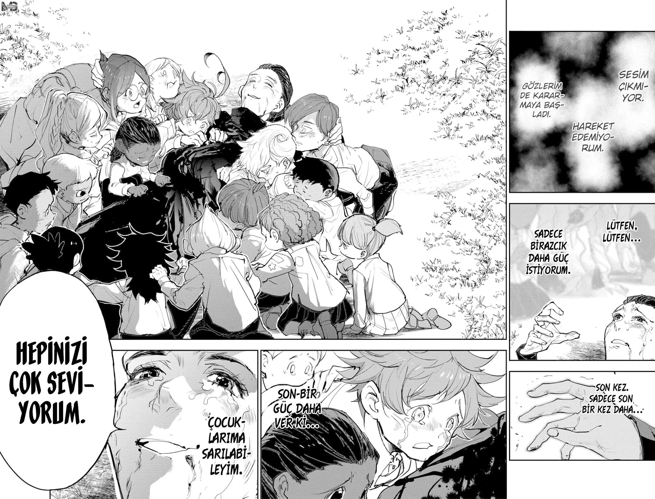 The Promised Neverland - Sayfa 15