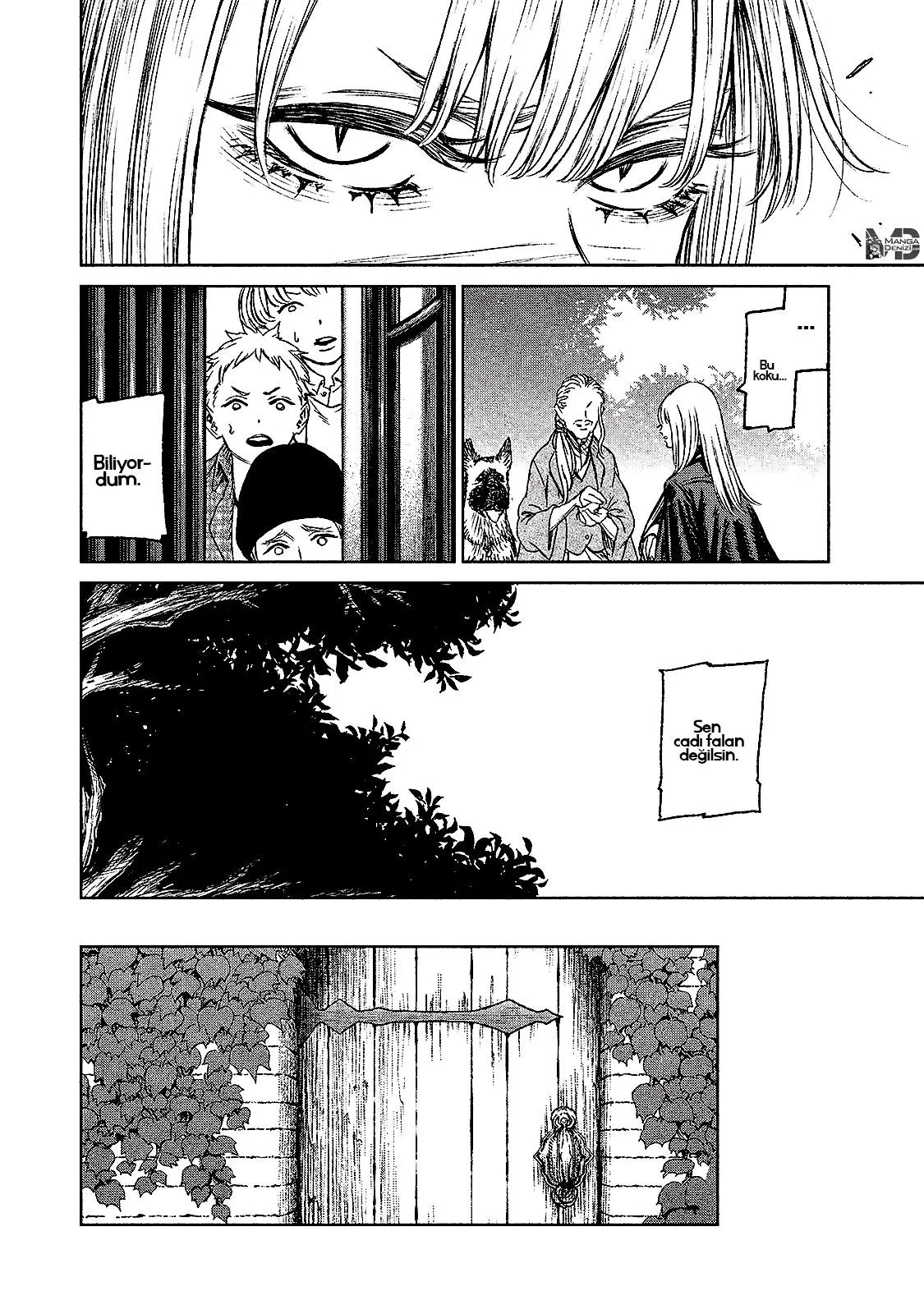 The Witch and the Beast - Sayfa 17