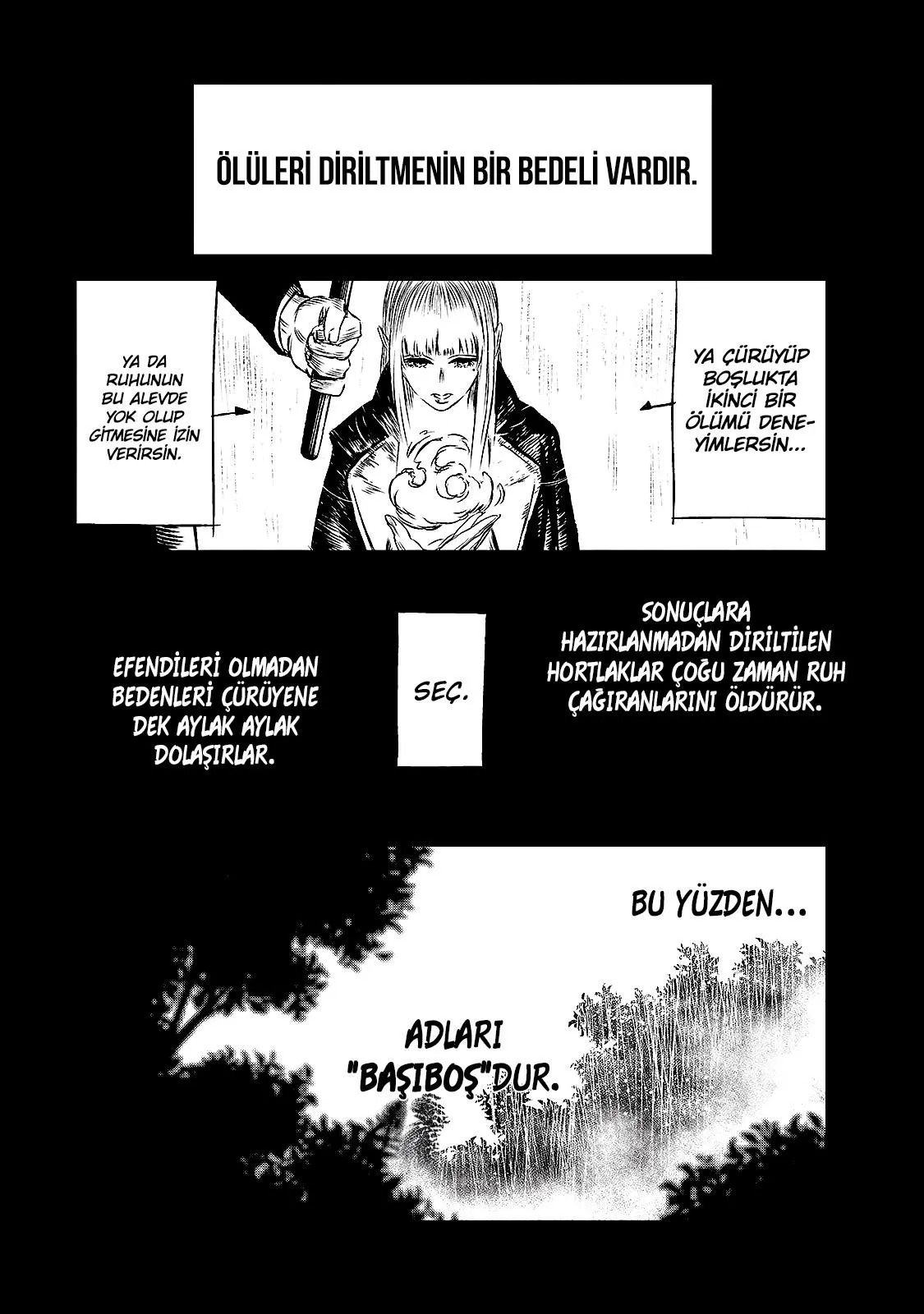 The Witch and the Beast - Sayfa 47