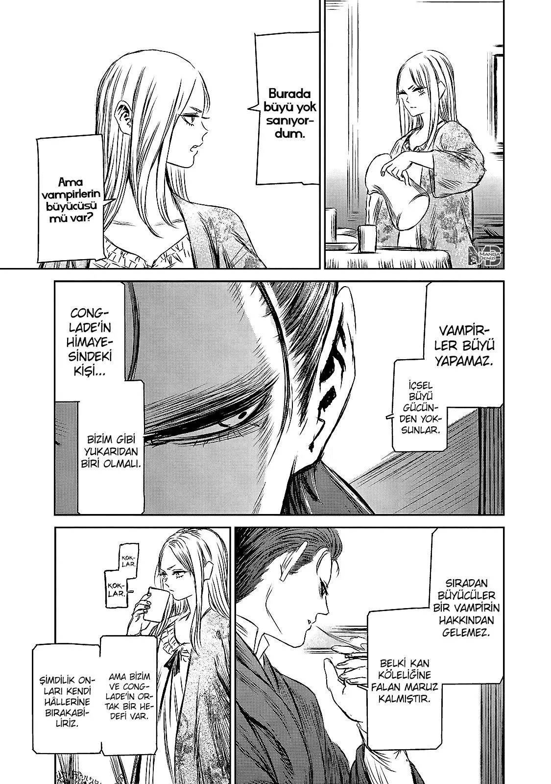 The Witch and the Beast - Sayfa 17