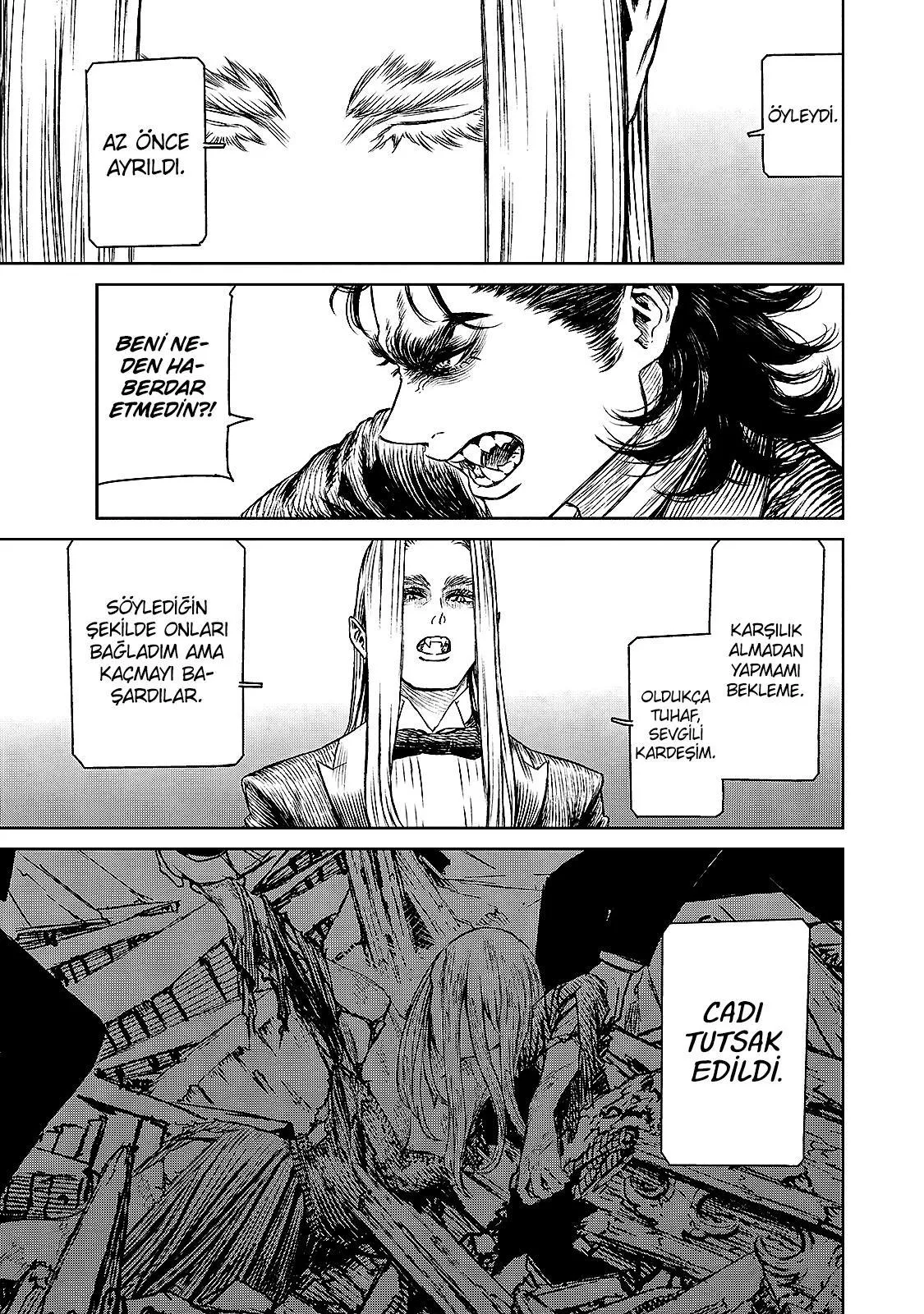 The Witch and the Beast - Sayfa 24