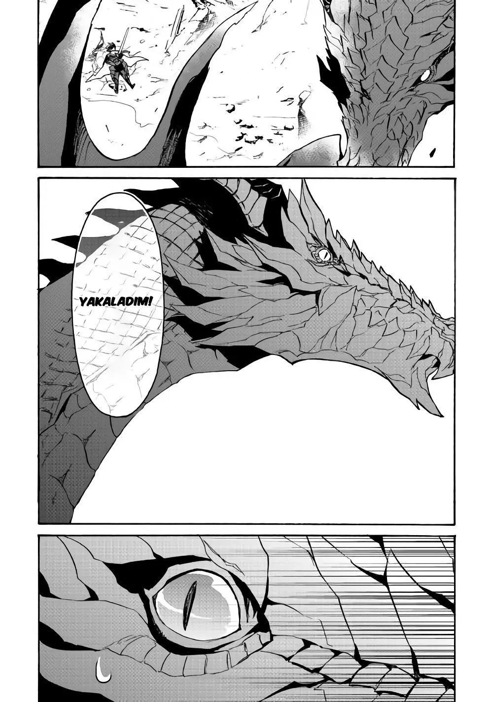 Tsuyokute New Saga - Sayfa 14