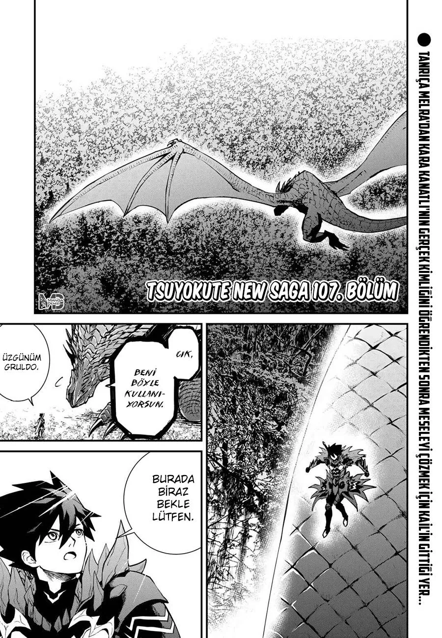 Tsuyokute New Saga - Sayfa 2